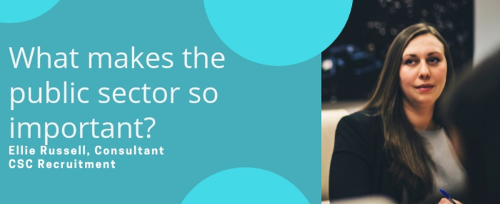 What makes the public sector so important? featured image